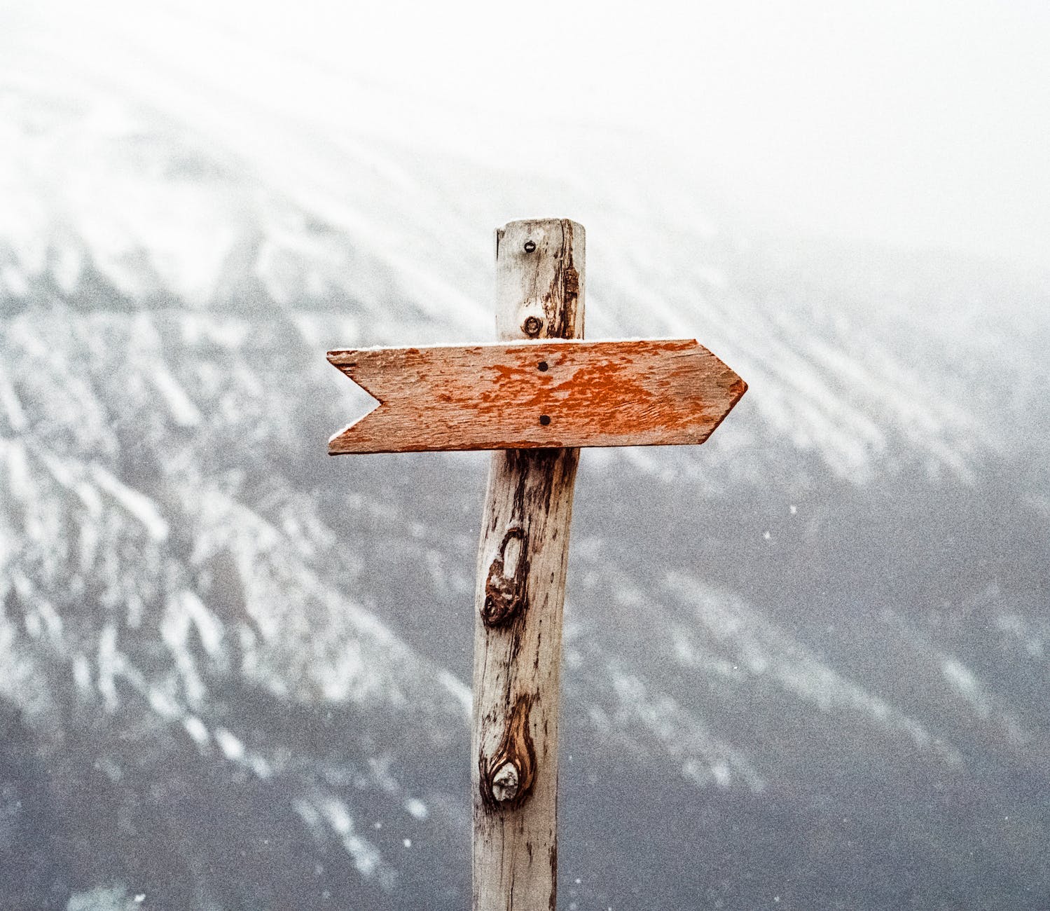 Dans quelles activités vous perdez-vous ?