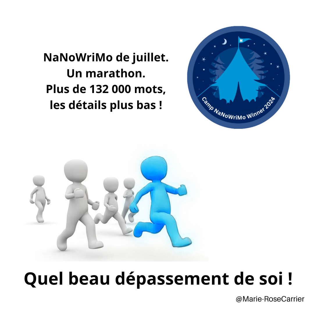 NaNoWriMo de juillet : 132 000 mots et le dépassement de soi !